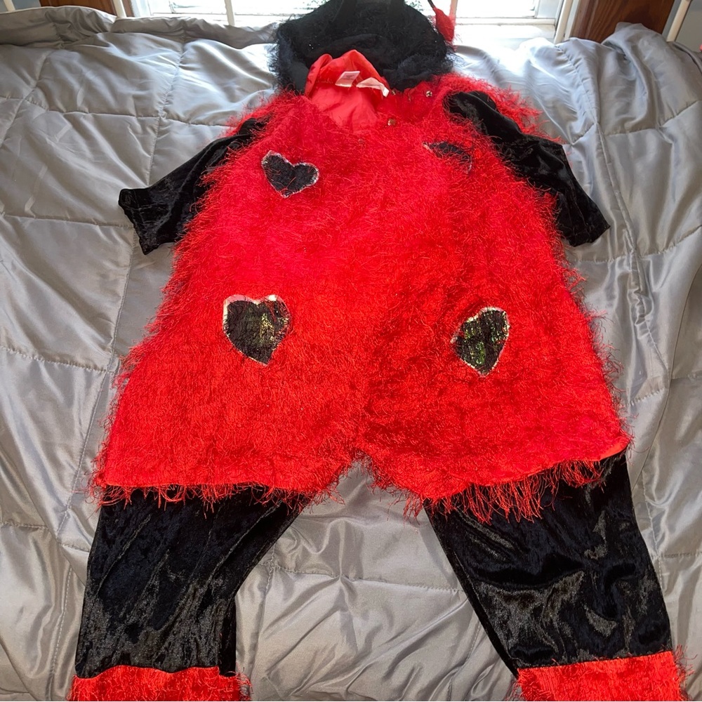 Celebration Halloween Ladybug Costume